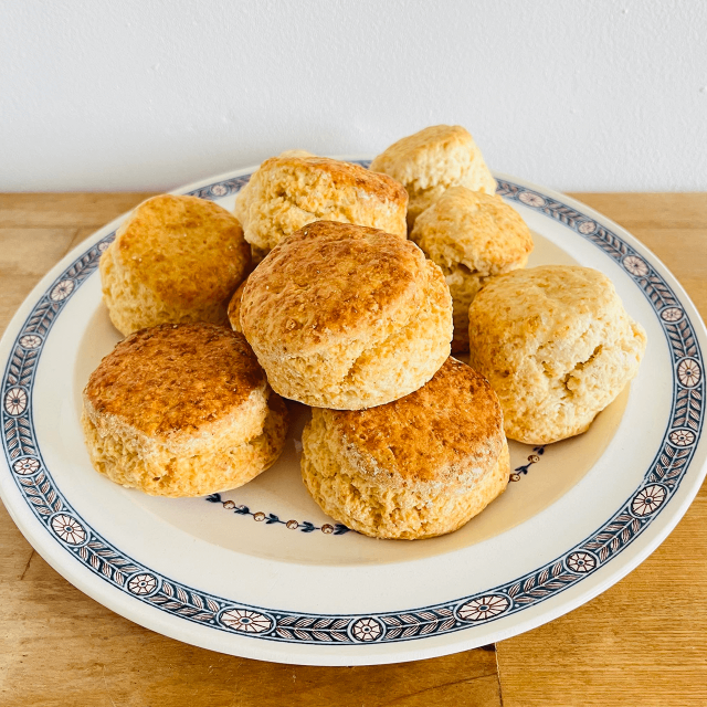 アウトレットスコーン プレーン 10個入り